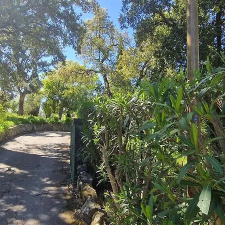 Villa Aux Portes De *
