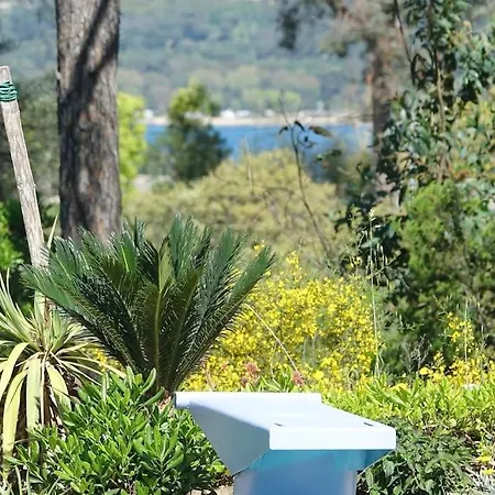 Villa Aux Portes De Saint-Tropez