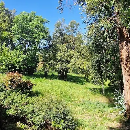 Villa Aux Portes De Saint-Tropez